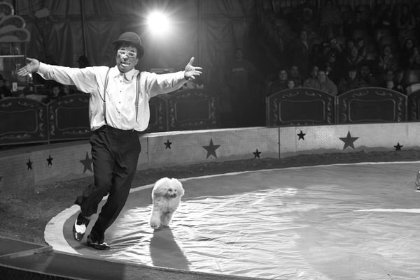 Photograph Markku Lahdesmaki Circus Clown on One Eyeland