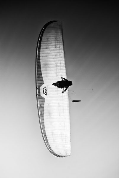 Photograph Nick Krapsis Eagle on One Eyeland
