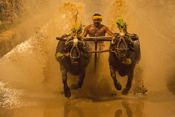 Photograph Shwet Priya Kambala Fusing Speed on One Eyeland