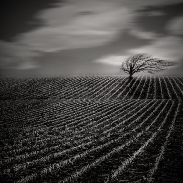 Photograph Agniribe Mada Alone on One Eyeland
