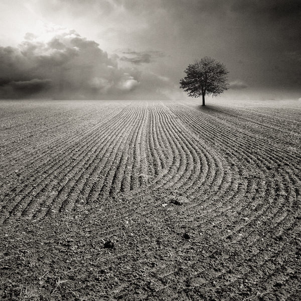 Photograph Agniribe Mada Isolated on One Eyeland