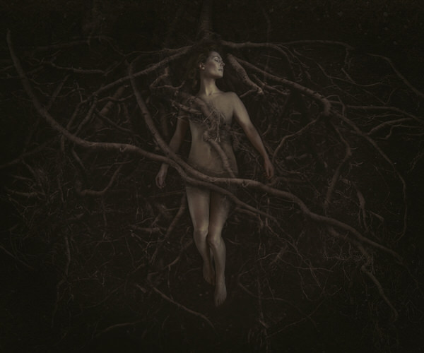 Photograph Mikaela Holmberg Entwined on One Eyeland