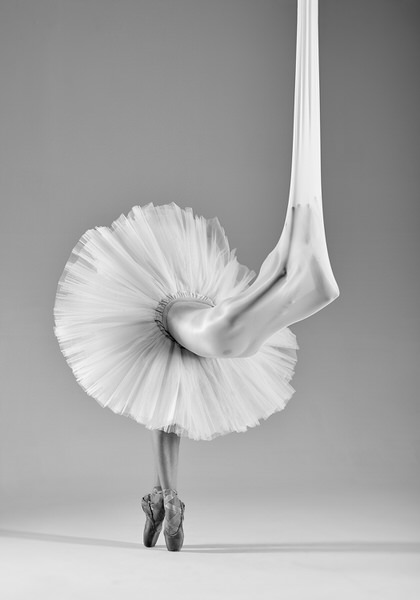 Photograph Piotr Leczkowski Crane on One Eyeland