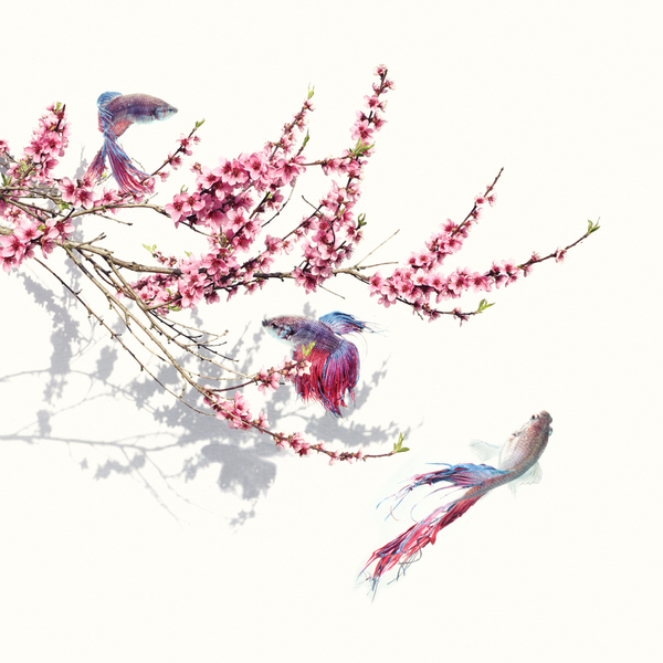 Photograph Floriana Barbu Accidental Chinese Painting on One Eyeland