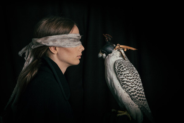 Photograph Alicia Rius Lady Falcon 46 on One Eyeland