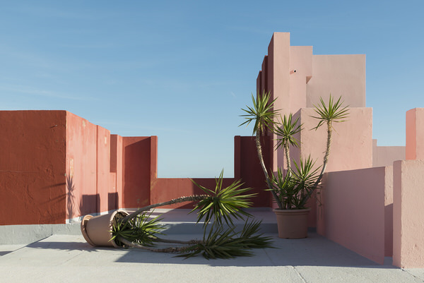 Photograph Andres Gallardo Albajar Palm Trees Daily Disputes on One Eyeland