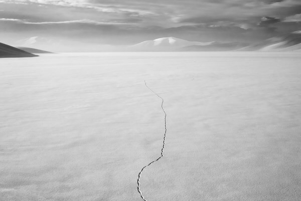 Photograph Murat Yazar Footsteps On The Snow on One Eyeland