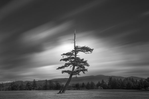 Photograph Cole Thompson Isolated No 7 on One Eyeland