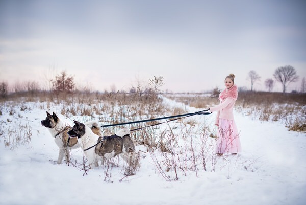 Photograph Ksenia Cieślik Winter on One Eyeland