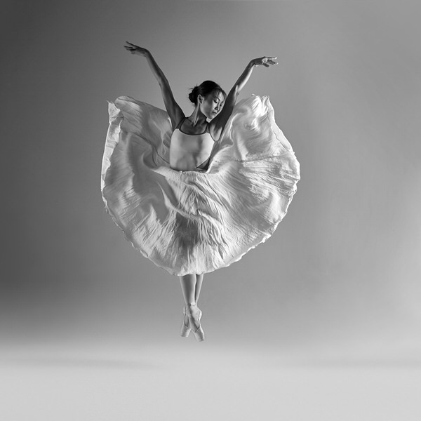 Photograph Piotr Leczkowski Poppy Flower Ii on One Eyeland