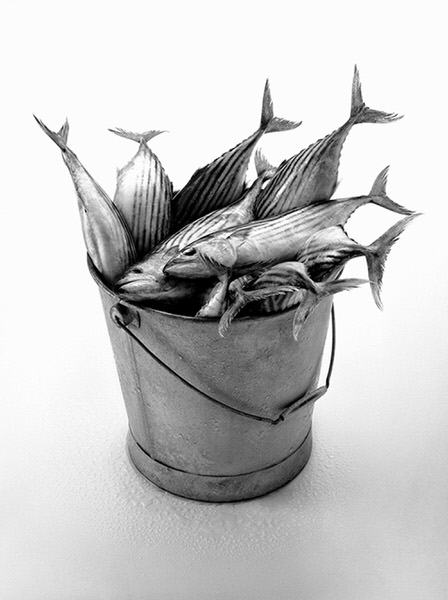 Photograph Urs Buhlman Bucket Of Fish on One Eyeland