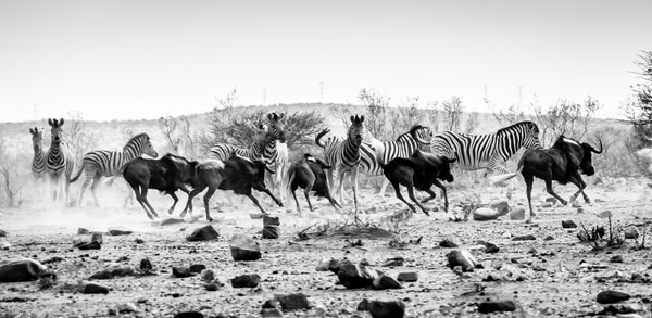 Photograph Andre Jager Control on One Eyeland