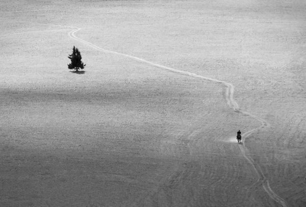 Photograph Peter Svoboda Constant Observer on One Eyeland