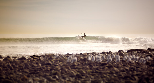 Photograph Justin Carrasquillo Surfer on One Eyeland