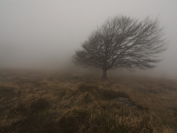 Photograph Ivan Ant We Have Only Got The Fog on One Eyeland
