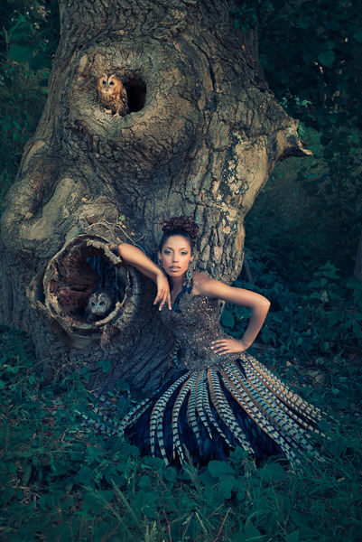 Photograph Quality Pixels Tawny Fashion on One Eyeland