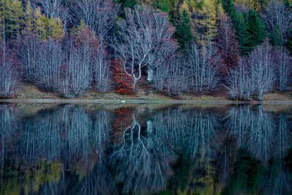 Photograph Emanuele Puglisi Calamone Lake Mount Ventasso on One Eyeland