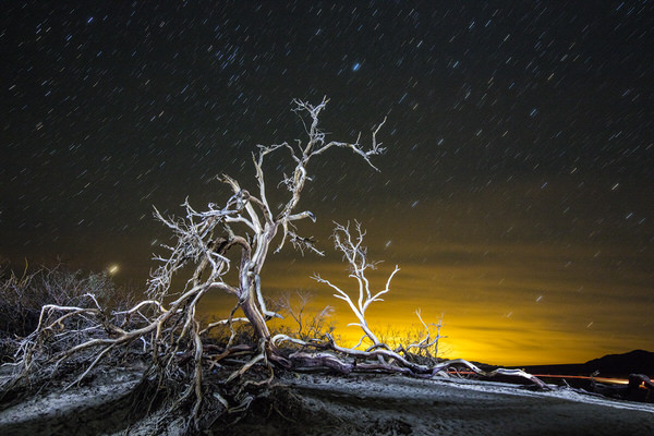 Photograph Larry Hamill Death Valley Moment on One Eyeland
