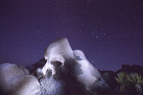 Photograph Larry Hamill Skull Rock on One Eyeland