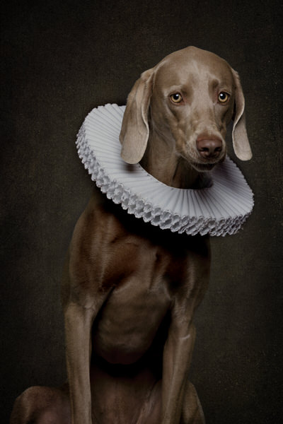 Photograph Carine Belzon Roos on One Eyeland