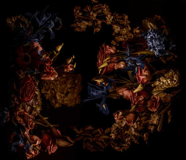 Photograph Jonathan Knowles Derelichte on One Eyeland