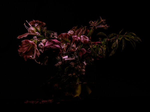 Photograph Jonathan Knowles Derelichte on One Eyeland