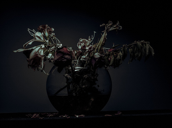 Photograph Jonathan Knowles Derelichte on One Eyeland