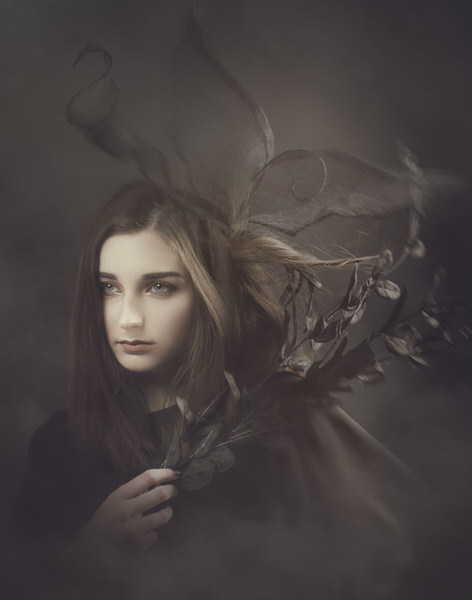 Photograph Vicki Lea Boulter Flight on One Eyeland