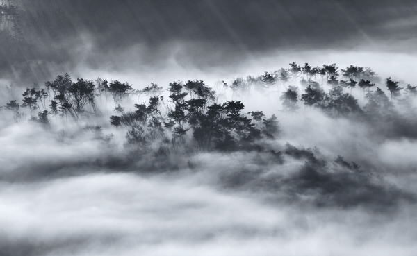 Photograph Suk Eun Kim Black And Blank on One Eyeland