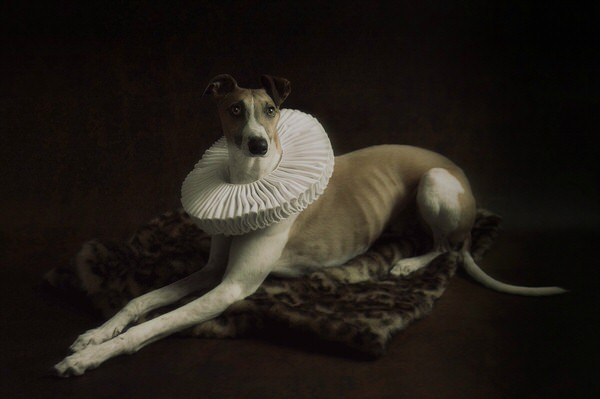Photograph Reiny Bourgonje Charlie on One Eyeland