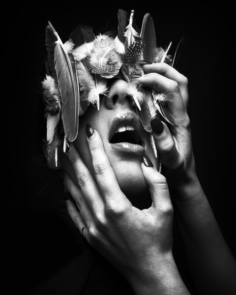 Photograph Juan Carlos Villarroel Wild Feathers on One Eyeland