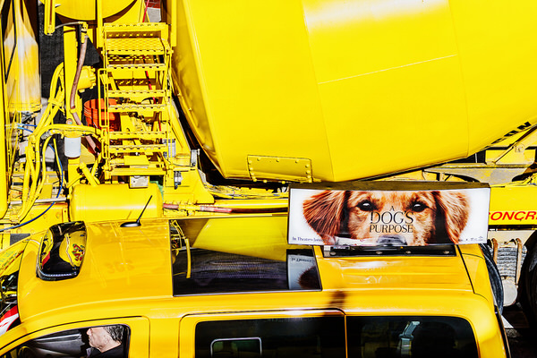 Photograph Mitchell Funk Yellow And Yellow on One Eyeland