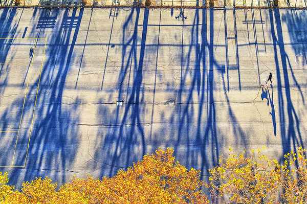 Photograph Mitchell Funk Long Shadows In The Park on One Eyeland