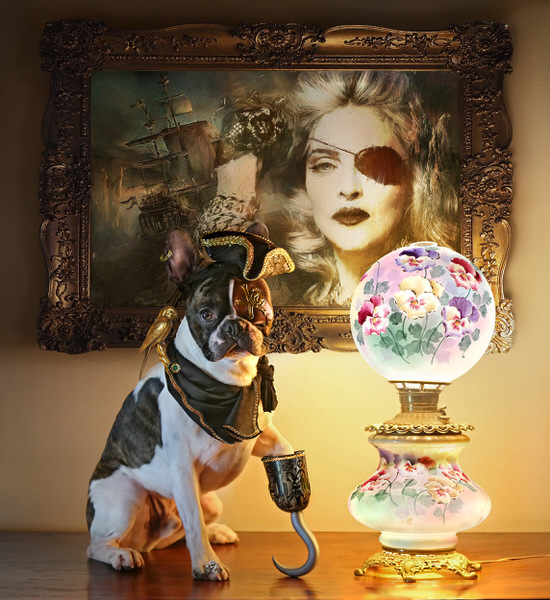 Photograph Ddiarte Ddiarte Pirate Frenchie on One Eyeland