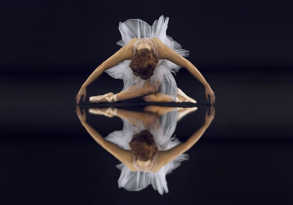 Photograph Marc Sabat The Swan on One Eyeland