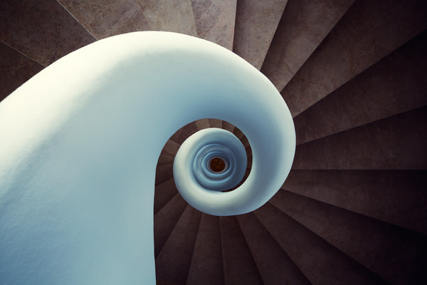Photograph Steve Struttmann The White Shell on One Eyeland