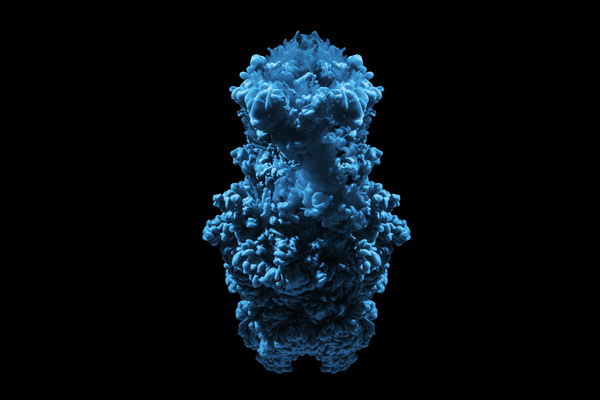 Photograph Joseba Barriola Gummy Bear on One Eyeland