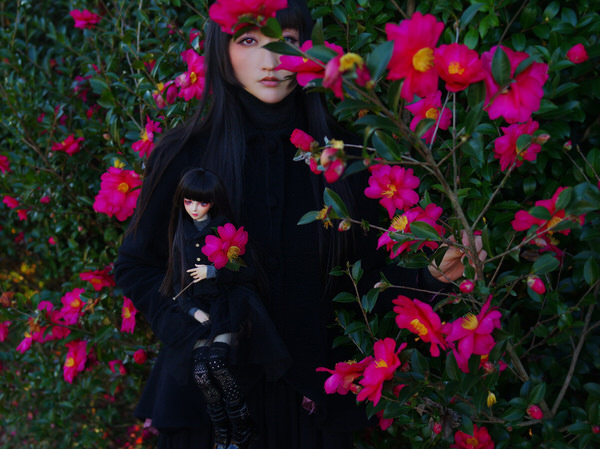 Photograph Haseo Hasegawa Camellia on One Eyeland