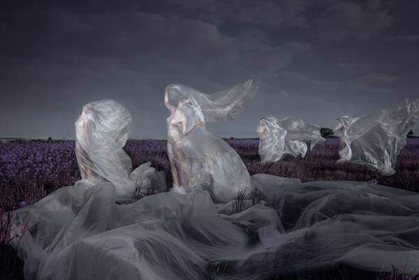 Photograph Elena Paraskeva Diaphanous on One Eyeland