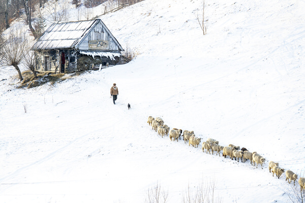 Photograph Diana Buzoianu Winter House on One Eyeland