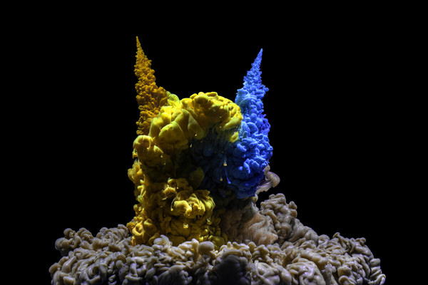 Photograph Joseba Barriola Abstract Wolverine on One Eyeland