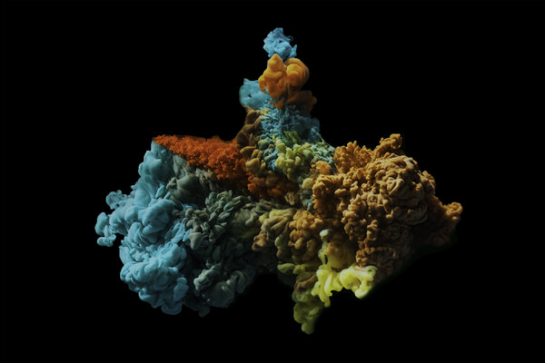Photograph Joseba Barriola Lung on One Eyeland