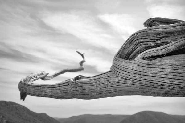 Photograph Rob Jenkins Time on One Eyeland