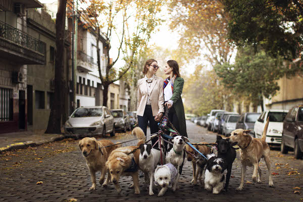 Photograph Braden Summers All Love Is Equal Buenos Aires on One Eyeland