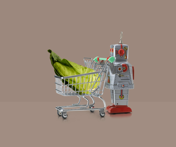 Photograph Owen Smith Tin Robot With Supermarket Trolley And Cabbage on One Eyeland