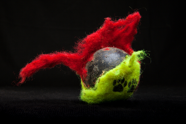 Photograph Hamish Trounson Chewed Tennis Ball on One Eyeland