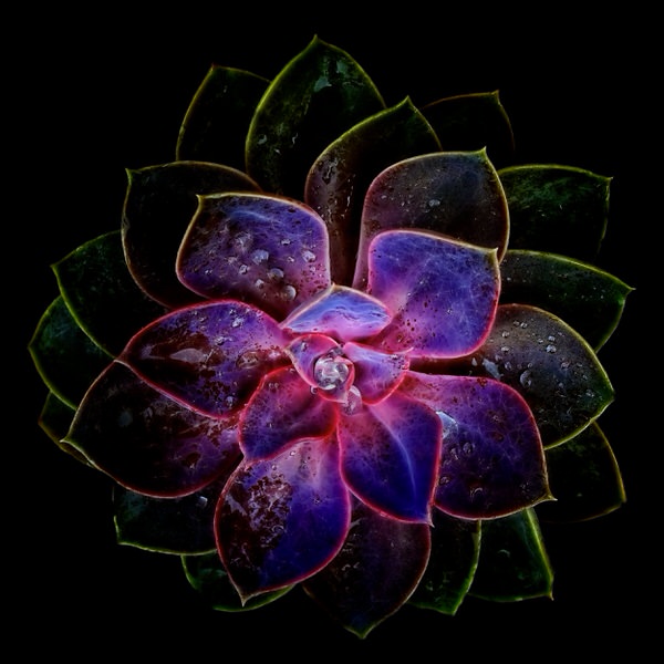 Photograph Michel Bochet Merand Couleurs Fractales on One Eyeland