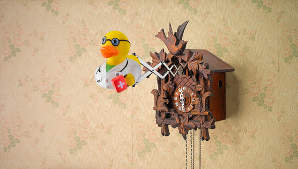 Photograph Owen Smith Doctor Plastic Duck And Cuckoo Clock on One Eyeland
