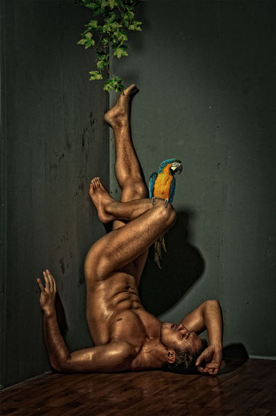 Photograph Grigorii Goriachev Parrot on One Eyeland