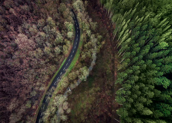 Photograph Mike Kremer Serpentine on One Eyeland